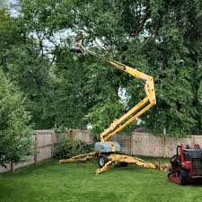 Best Tree Trimming and Pruning  in Powder Springs, GA